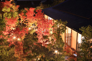 Aoi At Nanzenji Kan-un-an Kyoto